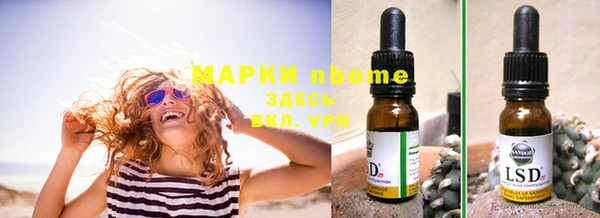 стафф Абинск