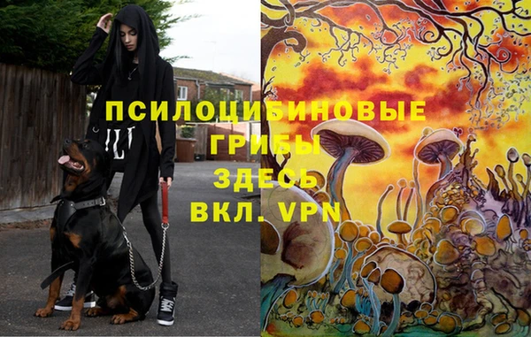 мяу мяу мука Надым