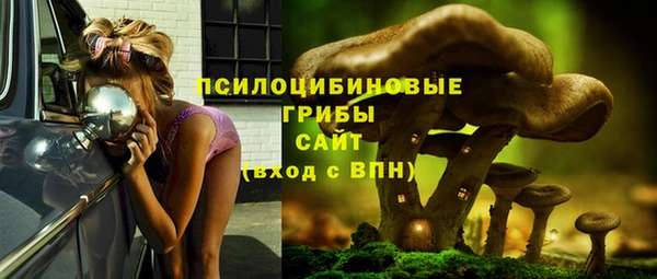 стафф Абинск