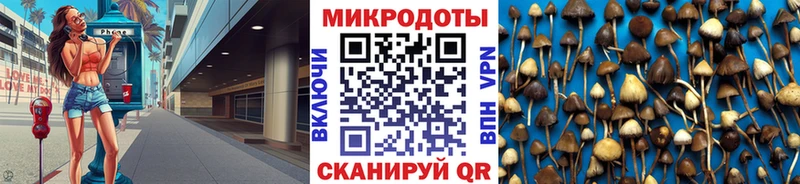 закладки  Апшеронск  Галлюциногенные грибы ЛСД 