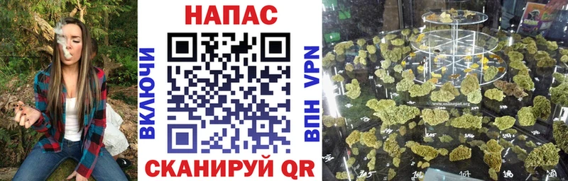 Бошки Шишки ГИДРОПОН  где найти   Апшеронск 